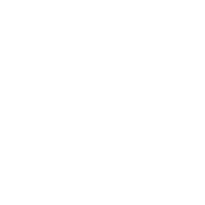Data & Analytics Strategy
