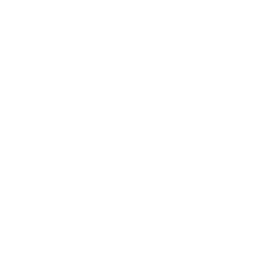 Process Analysis & Mining