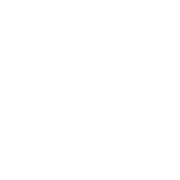 Process Governance & Automated Execution