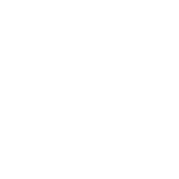 SAP Solution Manager service