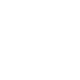 SAP ALM training services