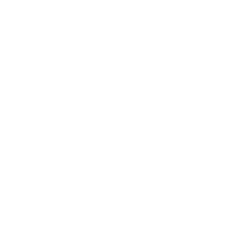 SAP Security and GRC Assessment