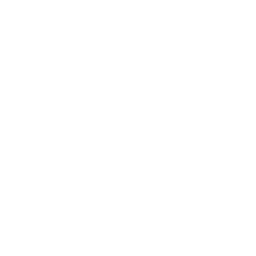 SAP Security and Role Design