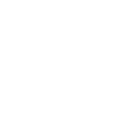 SAP Access Control & Rule Set Customization