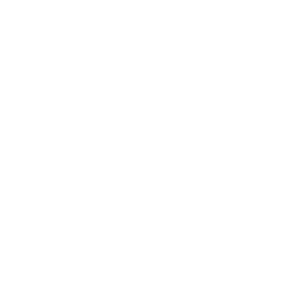 Infrastructure & SAP Basis