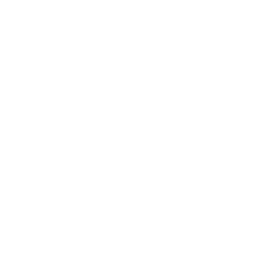 Public Edition Financials Only